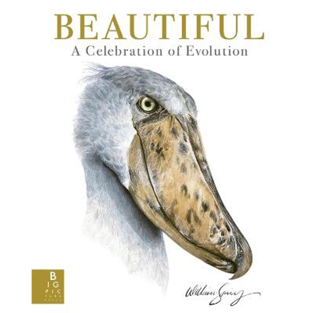 Beautiful: A Celebration of Evolution (Hardback) - William Spring